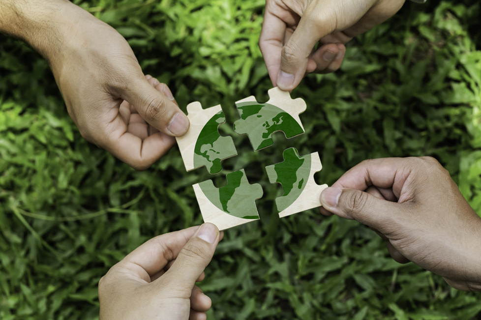 Sustainability Partners