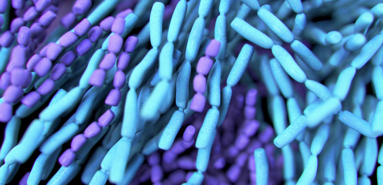 Guidance On Probiotics >> Best Practices Guidelines For Probiotics Council For Responsible Guidance On Probiotics >> Best Practices Guidelines For Probiotics Council For Responsible