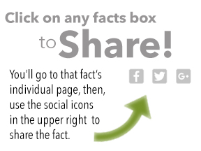 clickfactsboxtoshare.jpg